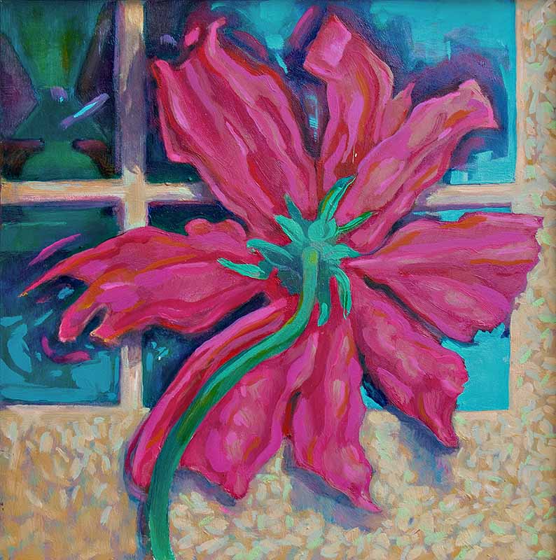 The Cosmos is looking in the window