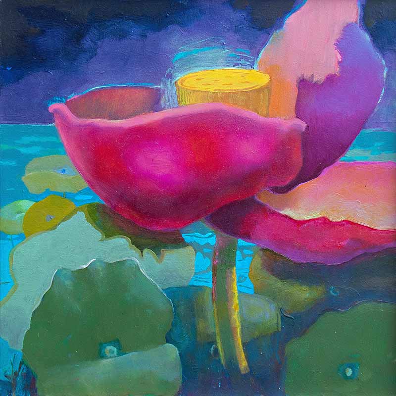 Lotus Lullaby
