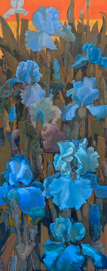 Blue Iris