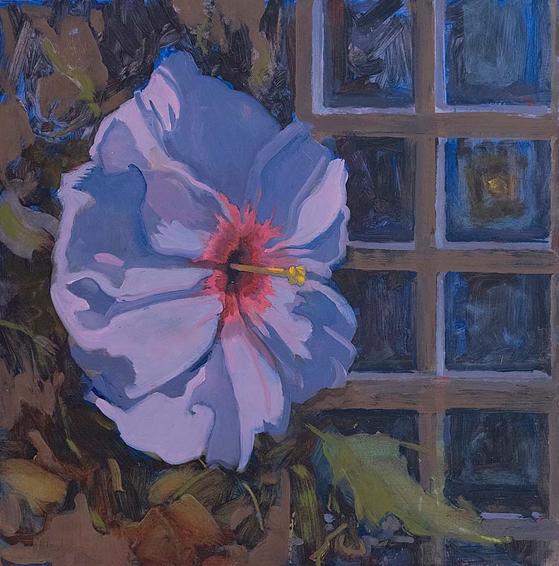 Hibiscus In The Shade - 12 x 12