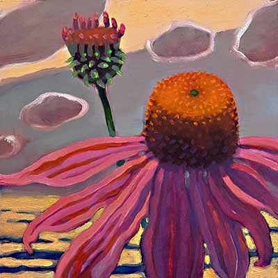 Purple Coneflower