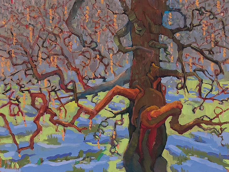 Walking Stick - 12 x 16