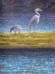 Goose and Heron