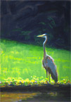 Heron