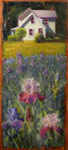 Iris Garden