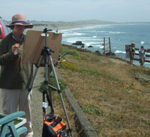 sonoma painting2