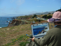 sonoma painting