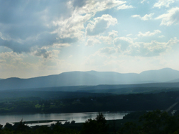view