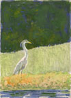 heron